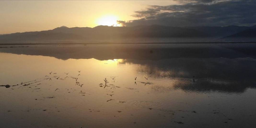 Yağışlar yeniden suyla doldurdu: Gavur Gölü kuşların sesiyle coştu! 5